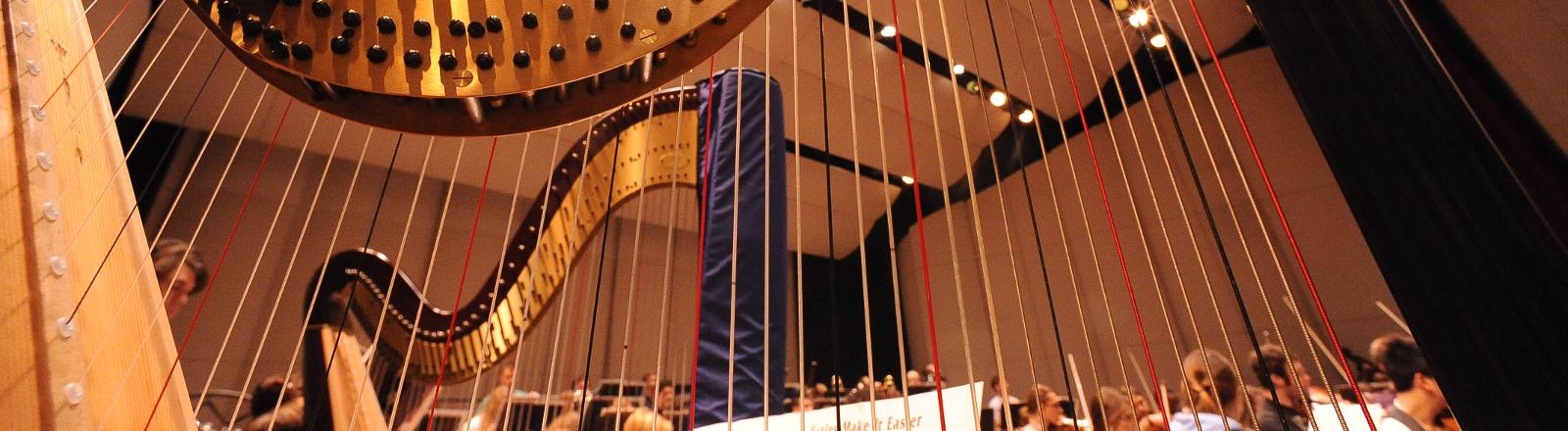 A close up strings of a harp in a concert with loyola students playing in the background