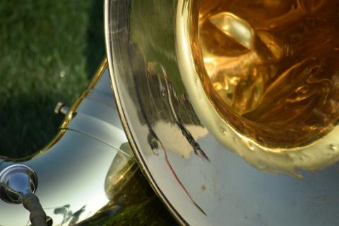 tuba in the grass